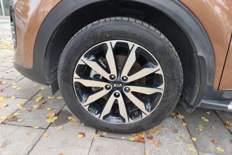 Used Kia KX5 2017 1.6T Automatic Two-Wheel Drive 15th Anniversary Special Edition DLX Left Front Wheel Hub