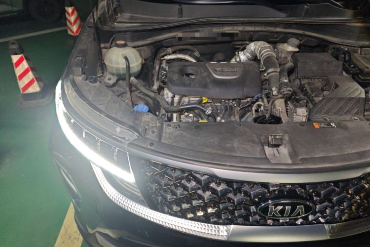 Used Kia KX5 2019 1.6T Automatic Two-Wheel Drive Luxury Edition Engine Bay Right