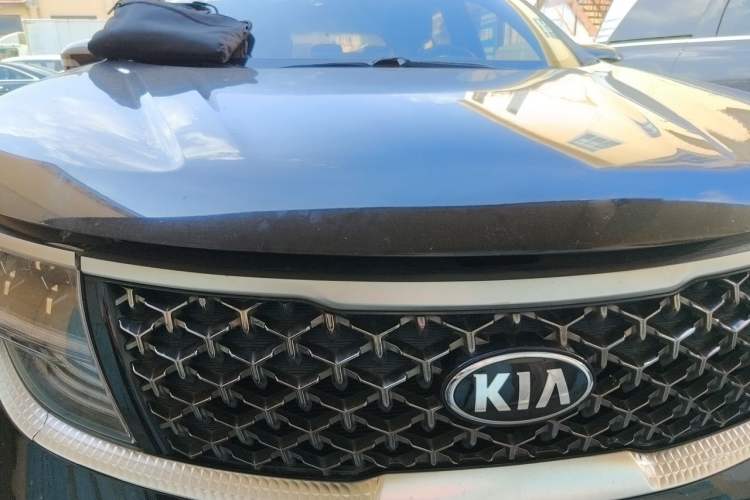 Used Kia KX5 2019 1.6T Automatic Two-Wheel Drive Luxury Edition Front