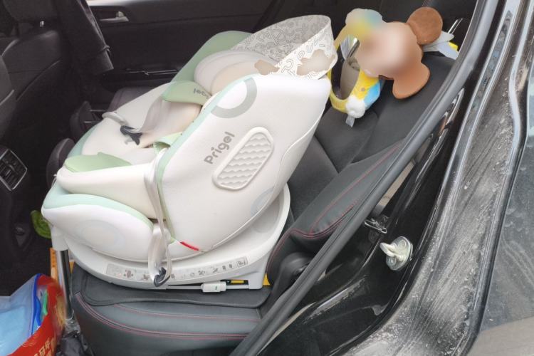 Used Kia KX5 2019 1.6T Automatic Two-Wheel Drive Luxury Edition Left Rear Seat