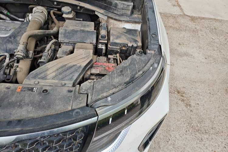 Used Kia KX5 2019 1.6T Automatic Two-Wheel Drive Luxury Edition Engine Bay Left