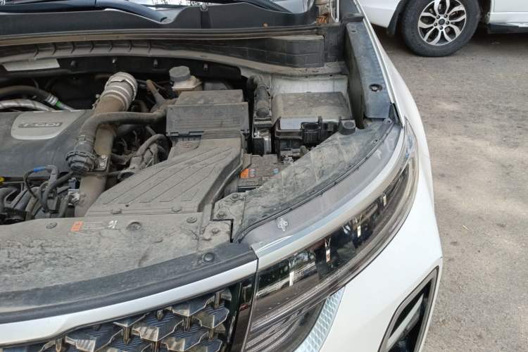 Used Kia KX5 2019 1.6T Automatic Two-Wheel Drive Luxury Edition Engine Bay Left