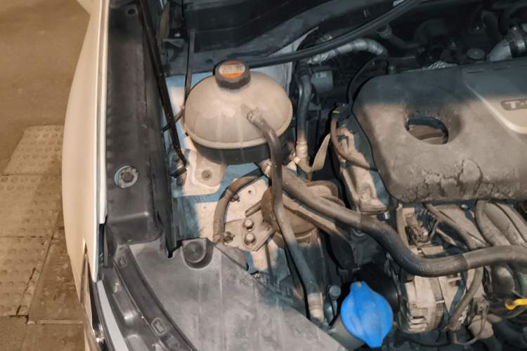 Used Kia KX5 2019 1.6T Automatic Two-Wheel Drive Luxury Edition Engine Bay Right