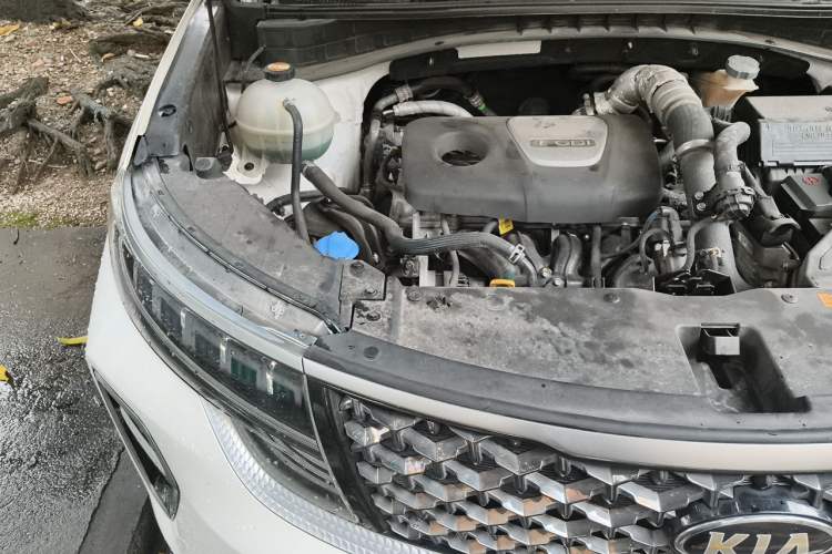Used Kia KX5 2019 1.6T Automatic Two-Wheel Drive Luxury Edition Engine Bay Right