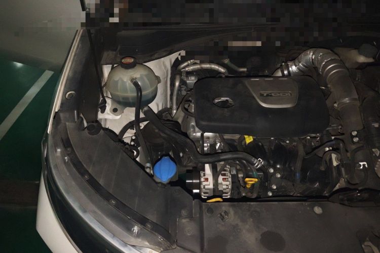 Used Kia KX5 2019 1.6T Automatic Two-Wheel Drive Luxury Edition Engine Bay Right