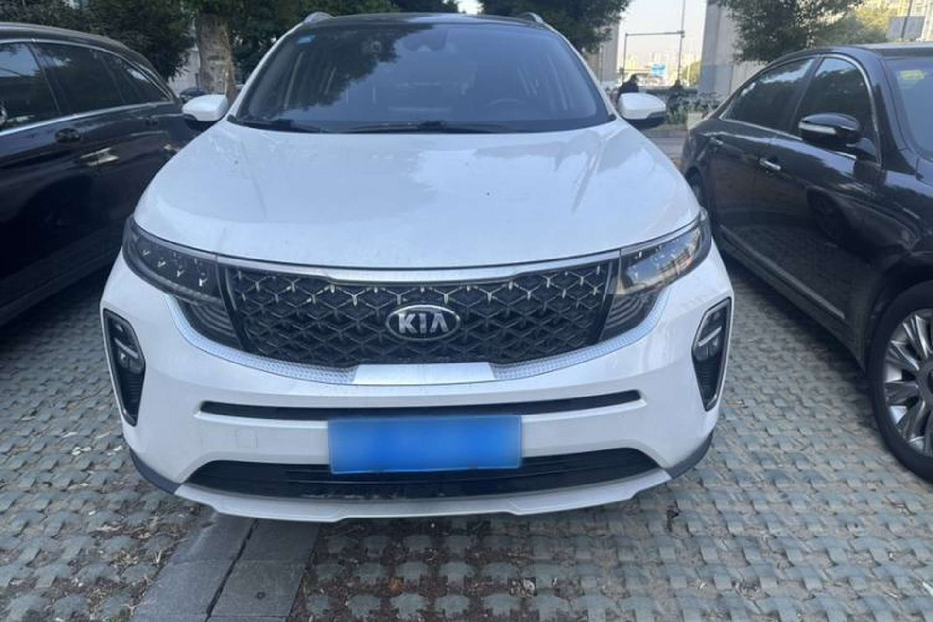 Used Kia KX5 2019 1.6T Automatic Two-Wheel Drive Luxury Edition Exterior 2