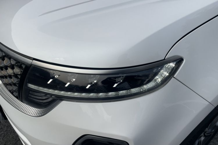 Used Kia KX5 2019 2.0L Automatic Two-Wheel Drive Fashion Edition Left Front Headlight