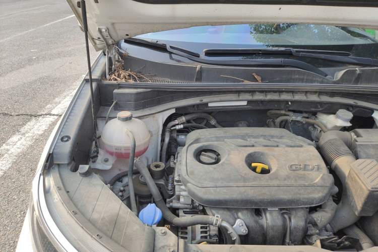Used Kia KX5 2021 2.0L Automatic Two-Wheel Drive Comfort Edition Engine Bay Right