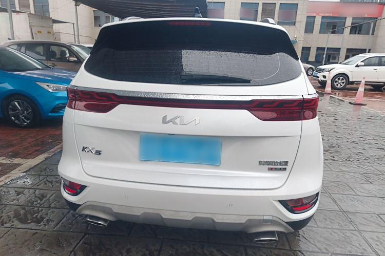 Used Kia KX5 2021 1.6T Automatic Two-Wheel Drive Luxury Edition Rear