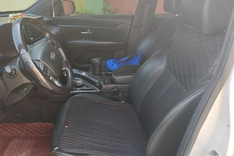 Used Kia KX7 2017 2.0T Automatic Two-Wheel Drive GLS 7-Seater Left Front Seat