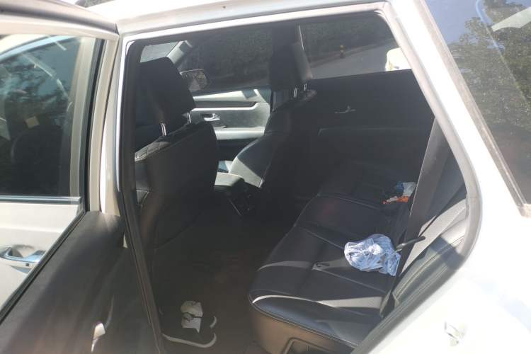 Used Kia KX7 2017 2.0T Automatic Two-Wheel Drive GLS 7-Seater Left Rear Seat