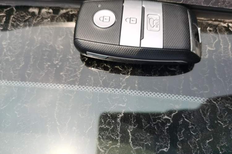 Used Kia KX7 2017 2.0T Automatic Two-Wheel Drive GL 7-Seater Interior 1