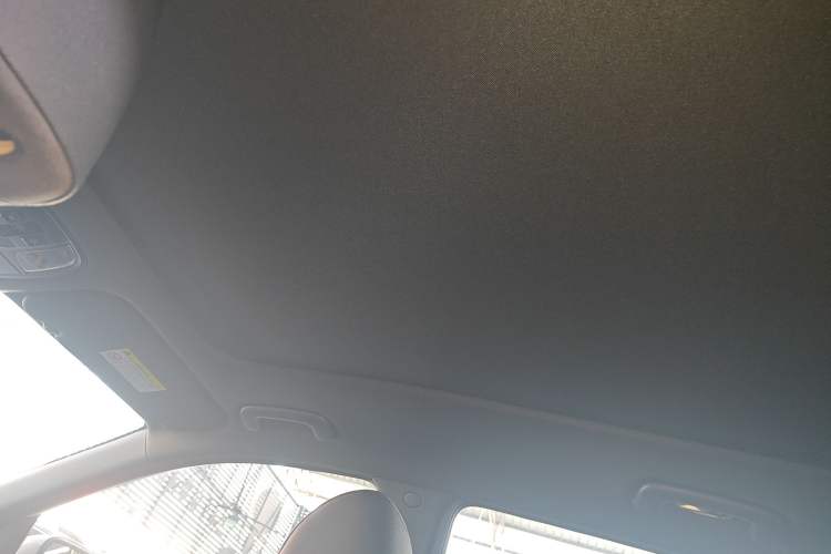 Used Kia KX7 2020 2.0T Automatic Two-Wheel Drive GLS 7-Seater Headliner