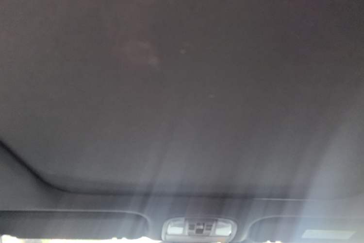 Used Kia KX7 2020 2.0T Automatic Two-Wheel Drive GLS 7-Seater Headliner