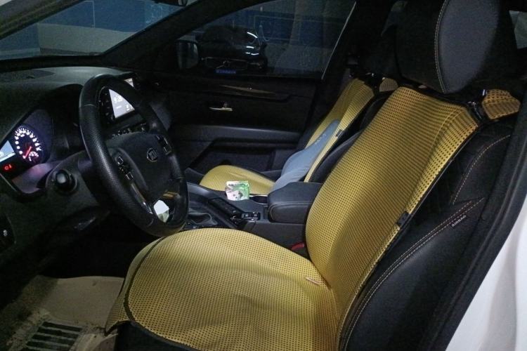 Used Kia KX7 2020 2.0T Automatic Two-Wheel Drive GLS 7-Seater Left Front Seat