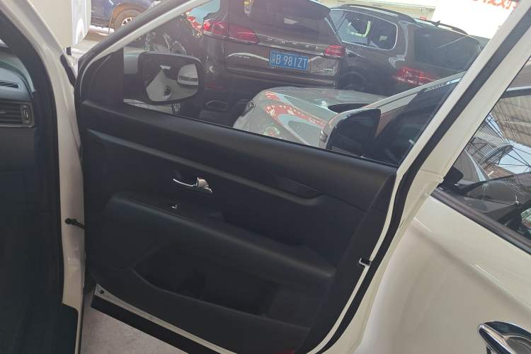 Used Kia KX7 2020 2.0T Automatic Two-Wheel Drive GLS 7-Seater Right Front Door Interior