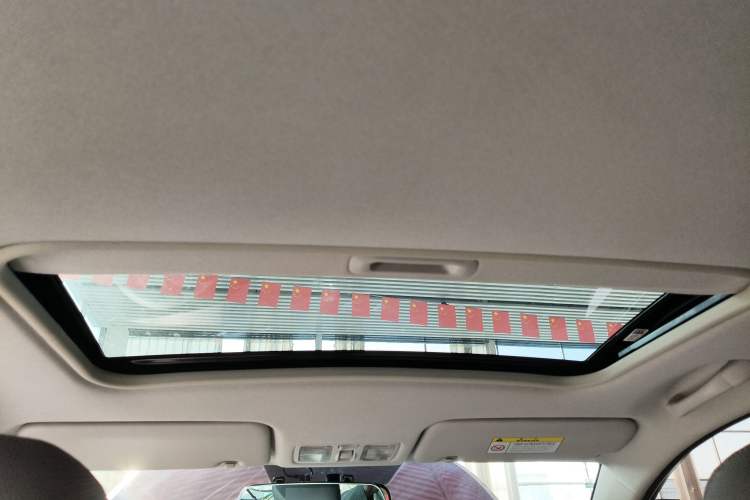 Used Kia Pegas 2017 1.4L Automatic Value Edition Headliner