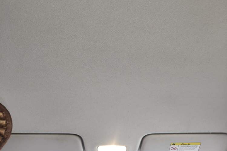 Used Kia Pegas 2017 1.4L Manual Value Edition Headliner