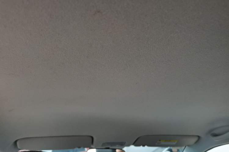 Used Kia Pegas 2017 1.4L Manual Value Edition Headliner