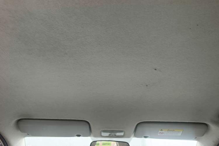 Used Kia Pegas 2017 1.4L Manual Value Edition Headliner