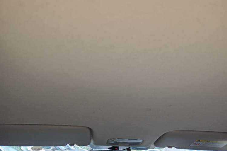 Used Kia Pegas 2017 1.4L Manual Value Edition Headliner