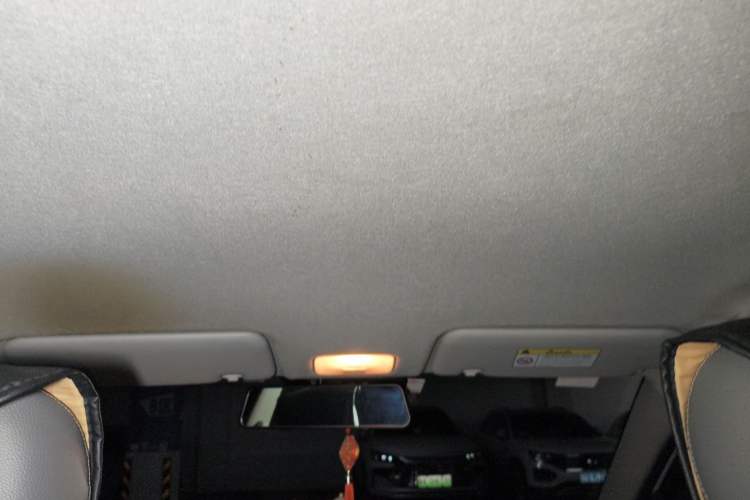 Used Kia Pegas 2017 1.4L Manual Value Edition Headliner