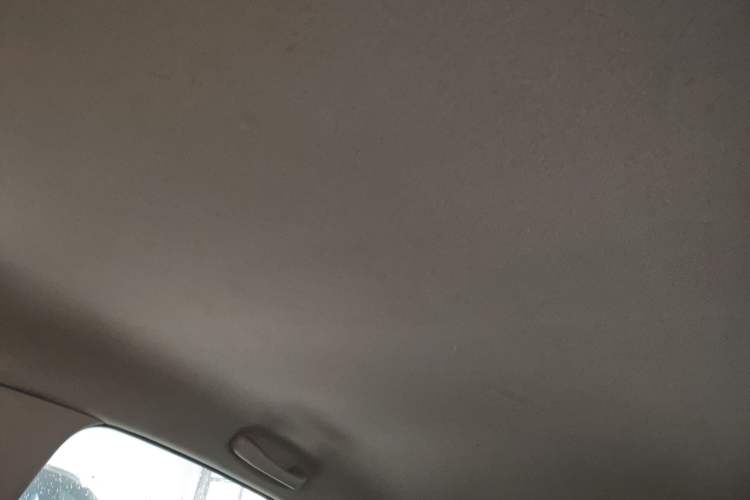 Used Kia Pegas 2017 1.4L Manual Value Edition Headliner