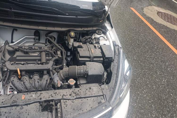 Used Kia Pegas 2019 1.4L Manual Value Edition (Compliant with National Emission Standard V) Engine Bay Left