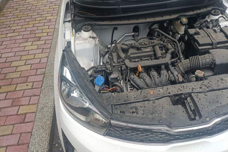 Used Kia Pegas 2019 1.4L Manual Value Edition (Compliant with National Emission Standard V) Engine Bay Right