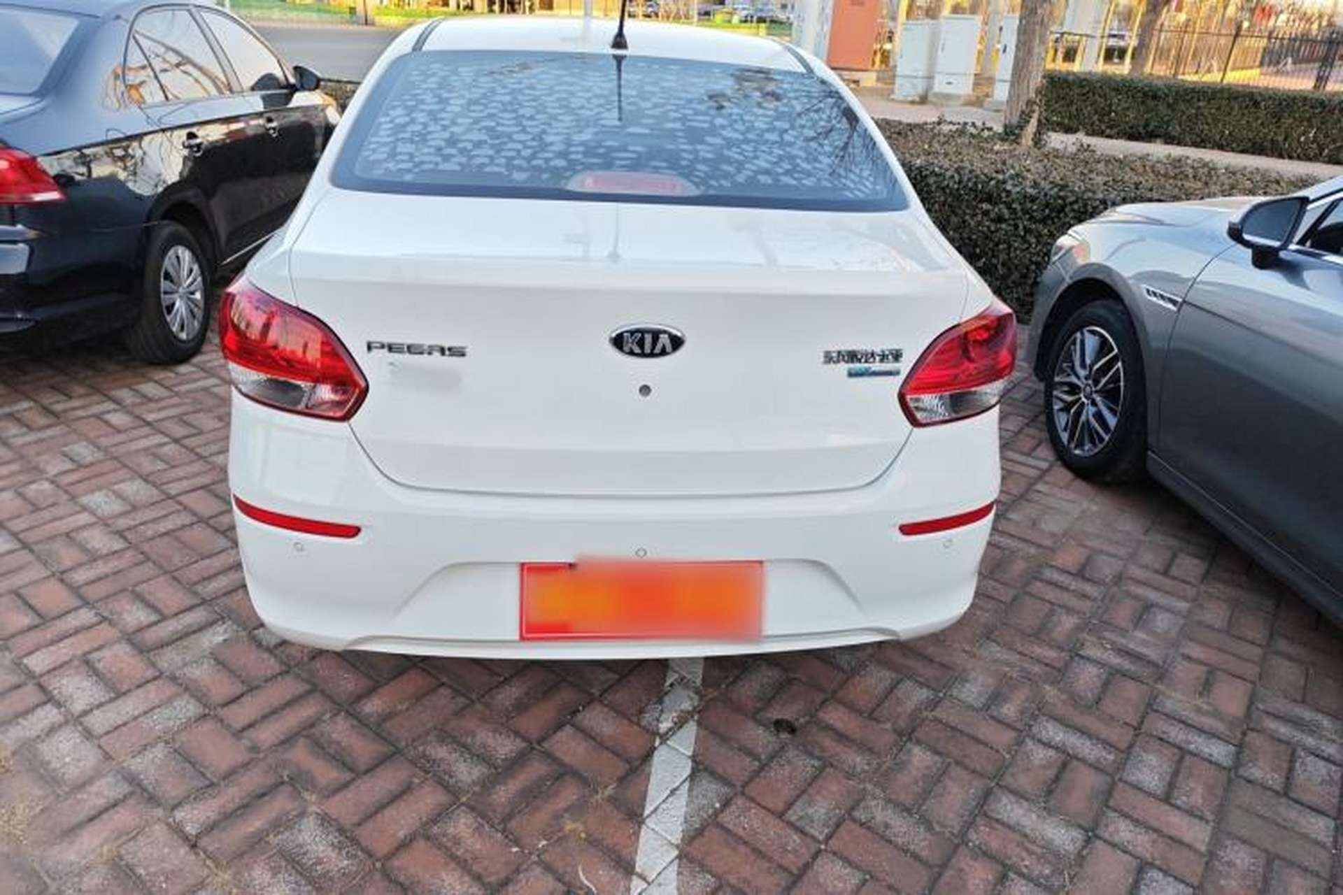 Used Kia Pegas 2019 1.4L Automatic Value Edition National VI Standard Exterior 1