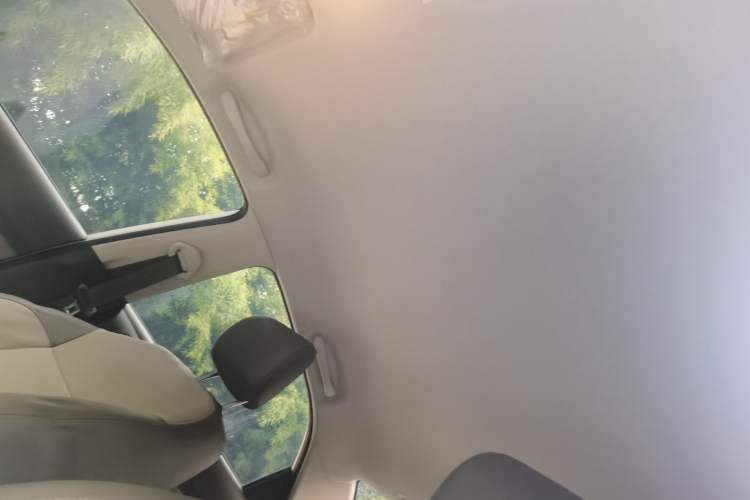 Used Kia Pegas 2019 1.4L Manual Value Edition National VI Standard Headliner