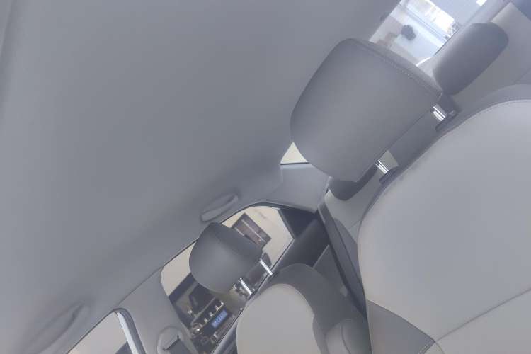 Used Kia Pegas 2019 1.4L Manual Value Edition National VI Standard Headliner