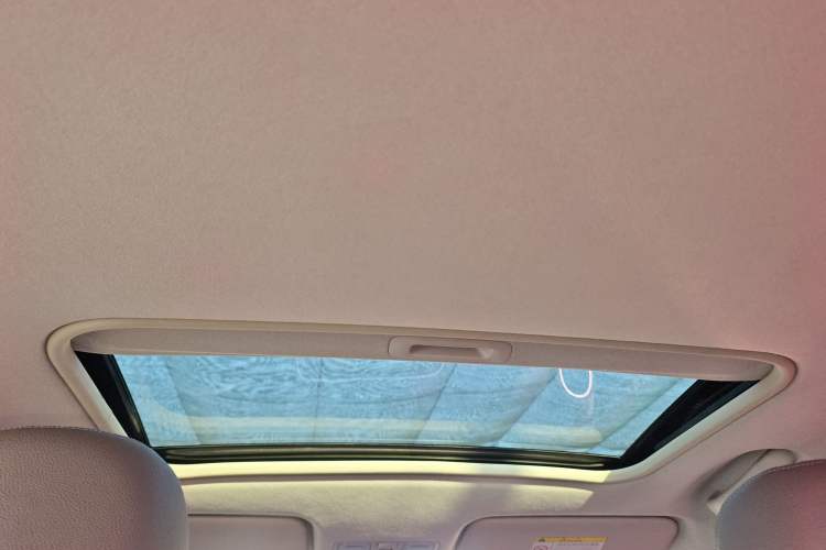 Used Kia Pegas 2019 1.4L Automatic Value Edition National VI Standard Headliner