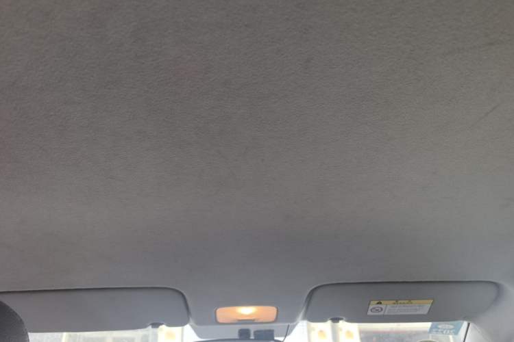 Used Kia Pegas 2019 1.4L Manual Value Edition National VI Standard Headliner