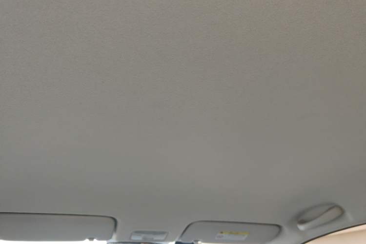 Used Kia Pegas 2019 1.4L Manual Value Edition National VI Standard Headliner
