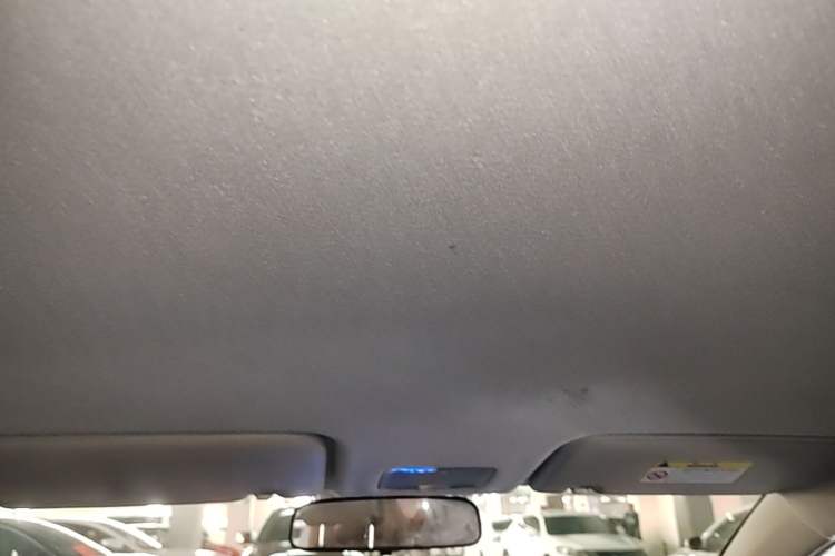 Used Kia Pegas 2019 1.4L Manual Value Edition National VI Standard Headliner