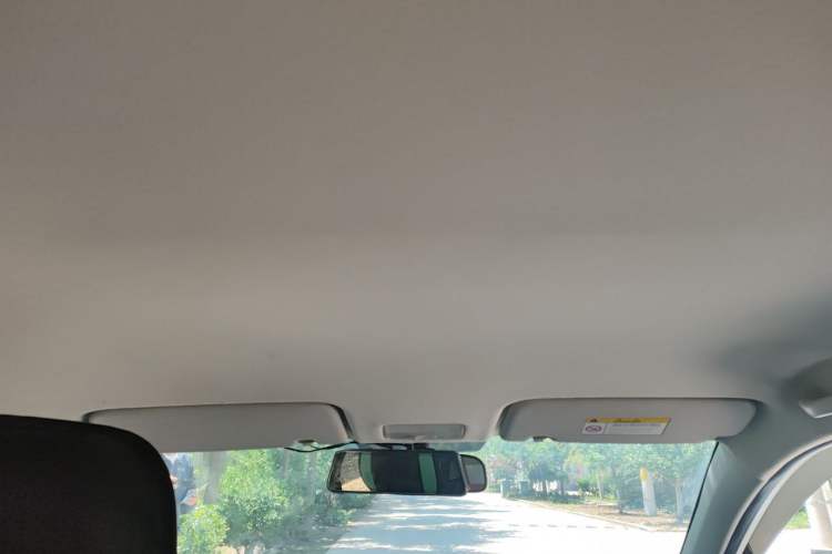 Used Kia Pegas 2019 1.4L Manual Value Edition National VI Standard Headliner