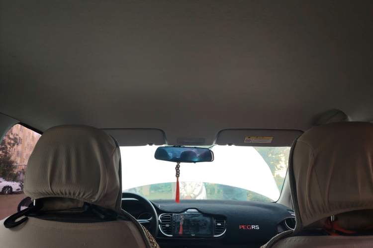 Used Kia Pegas 2019 1.4L Manual Value Edition National VI Standard Headliner