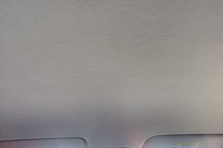 Used Kia Pegas 2019 1.4L Manual Value Edition National VI Standard Headliner