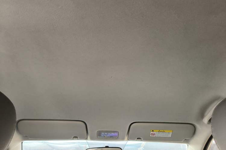 Used Kia Pegas 2019 1.4L Manual Value Edition National VI Standard Headliner