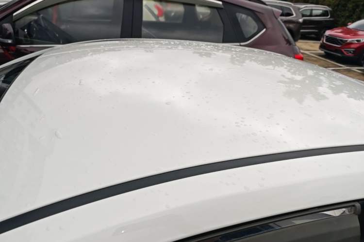 Used Kia Pegas 2019 1.4L Manual Value Edition National VI Standard Roof