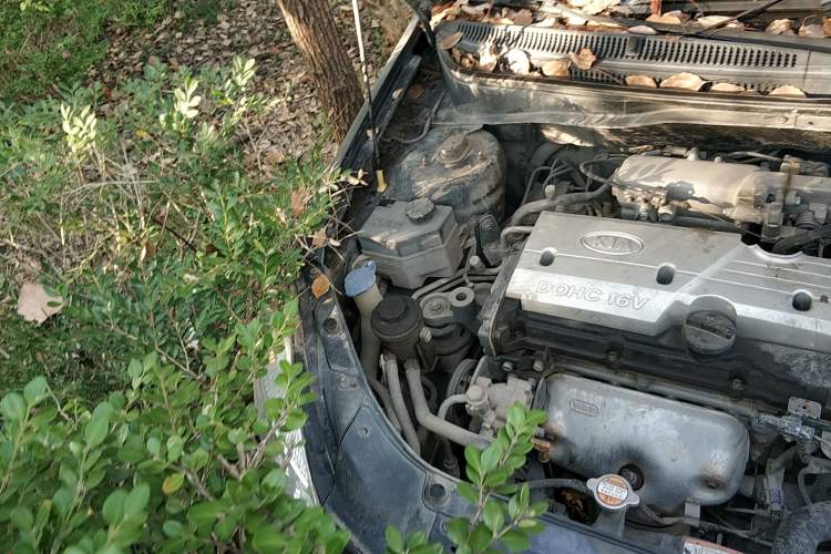 Used Kia Rio 2007 1.4L MT GL Engine Bay Right