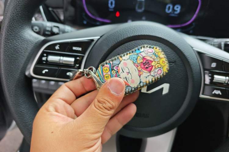 Used Kia Seltos 2023 1.5L CVT Luxury Edition Vehicle Key
