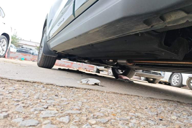 Used Kia Seltos 2023 1.5L CVT Luxury Edition Chassis Rear Left