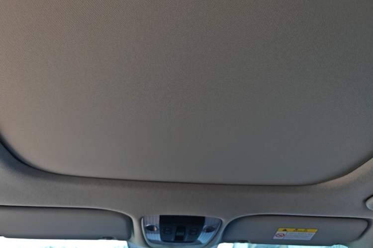 Used Kia Seltos 2023 1.5L CVT Luxury Edition Headliner