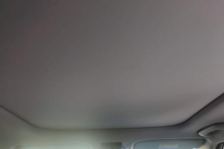 Used Kia Seltos 2023 1.5L CVT Luxury Edition Headliner