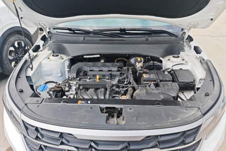Used Kia Seltos 2023 1.5L CVT Comfort Edition Engine Bay
