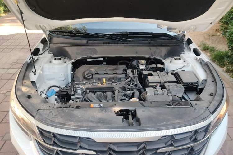 Used Kia Seltos 2023 1.5L CVT Comfort Edition Engine Bay