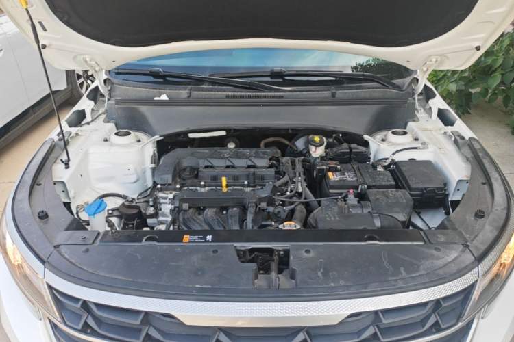 Used Kia Seltos 2023 1.5L CVT Comfort Edition Engine Bay