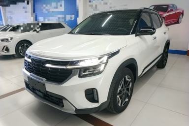 Used Kia Seltos 2023 1.5L CVT Luxury Edition